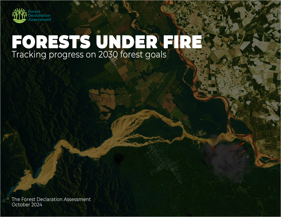 Forests Under Fire: Tracking progress on 2030 forest goals cover