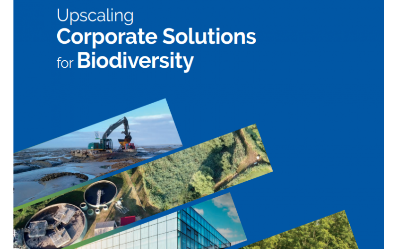 Upscaling Corporate Solutions for Biodiversity cover