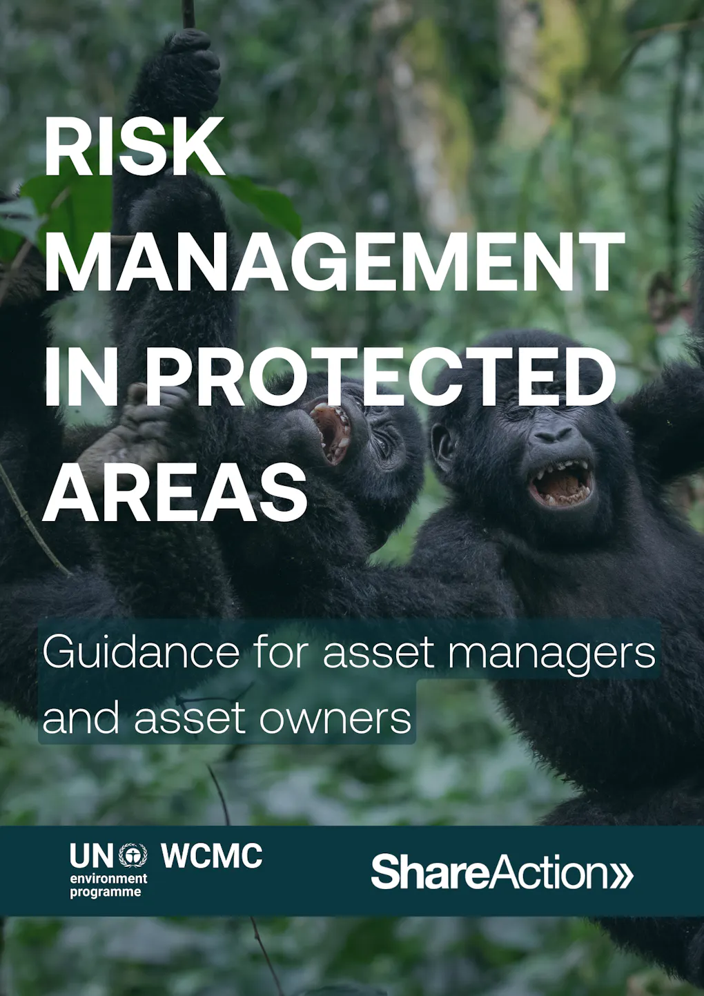 Risk Management in Protected Areas cover