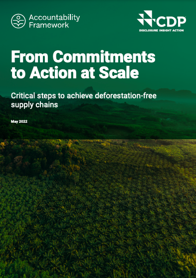 From Commitments to Action at Scale: Critical steps to achieve deforestation-free supply chains cover