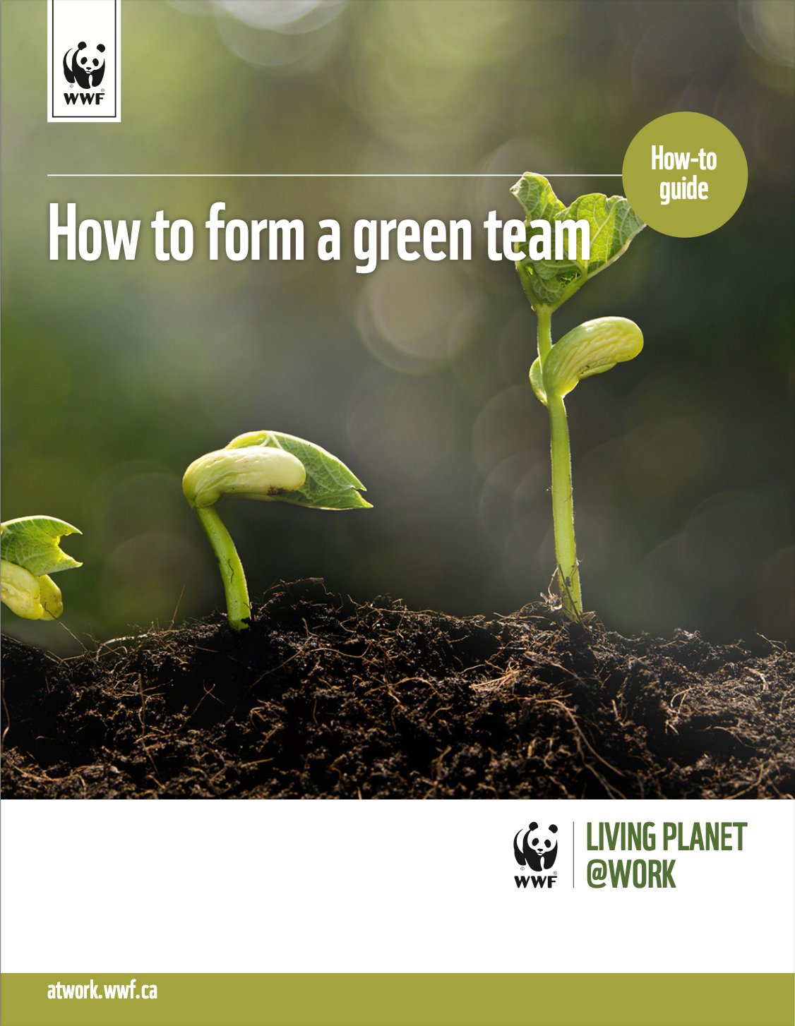 How to form a green team cover