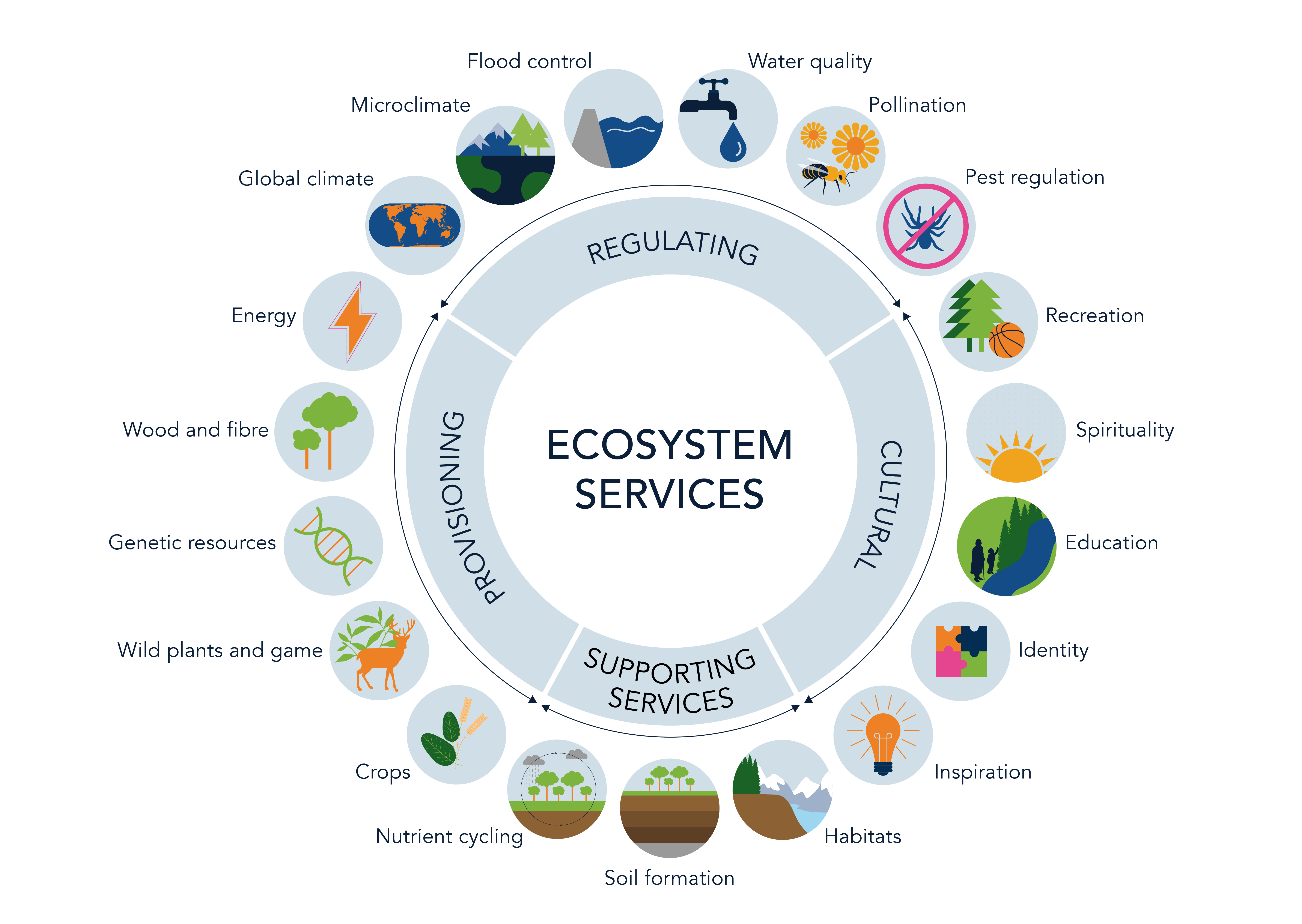 Ecosystem Services