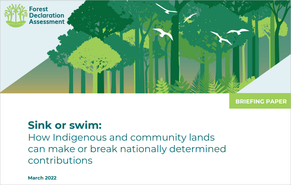 Sink or swim: How Indigenous and community lands can make or break nationally determined contributions cover