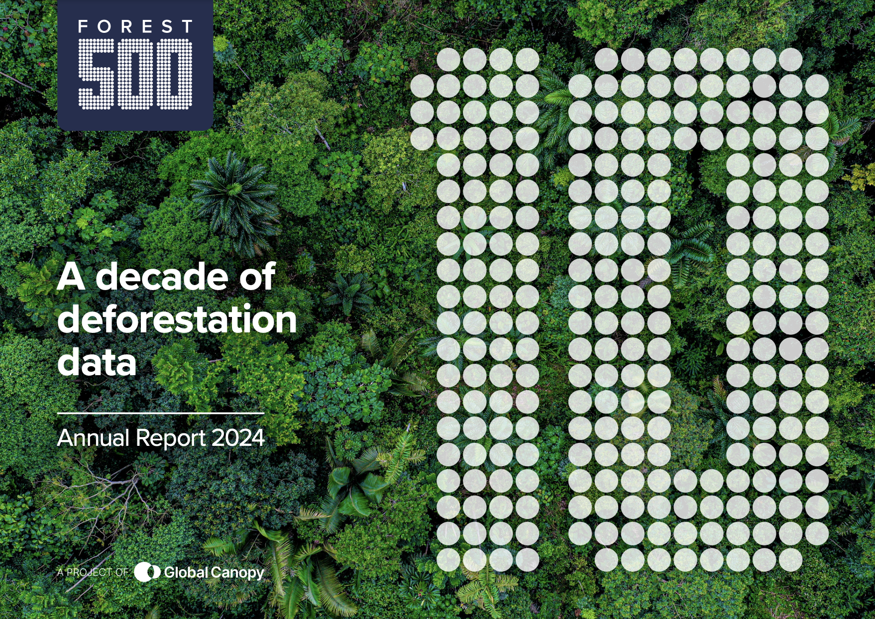 Forest 500: A decade of deforestation data cover