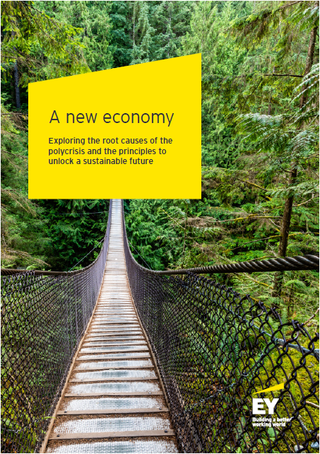 A new economy: Exploring the root causes of the polycrisis and the principles to unlock a sustainable future cover