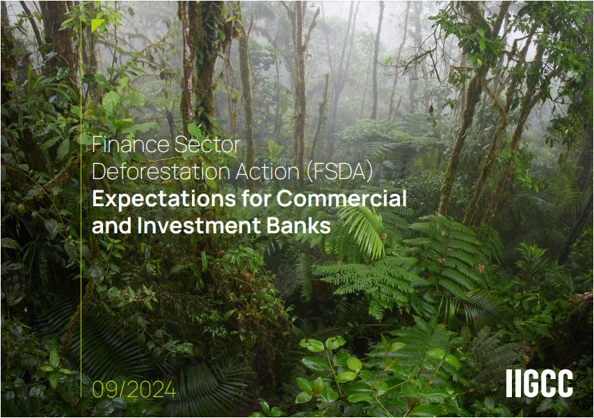 Finance Sector Deforestation Action (FSDA): Expectations for Commercial and Investment Banks cover