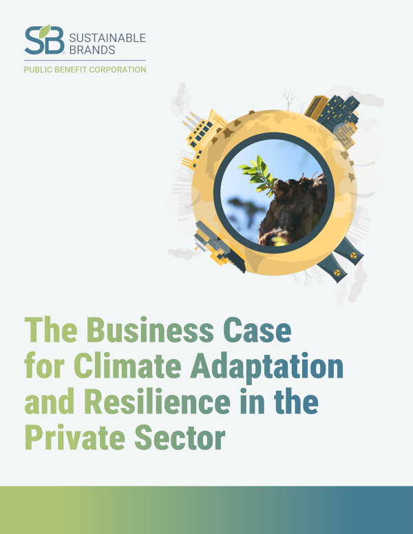 The Business Case for Climate Adaptation and Resilience in the Private Sector cover