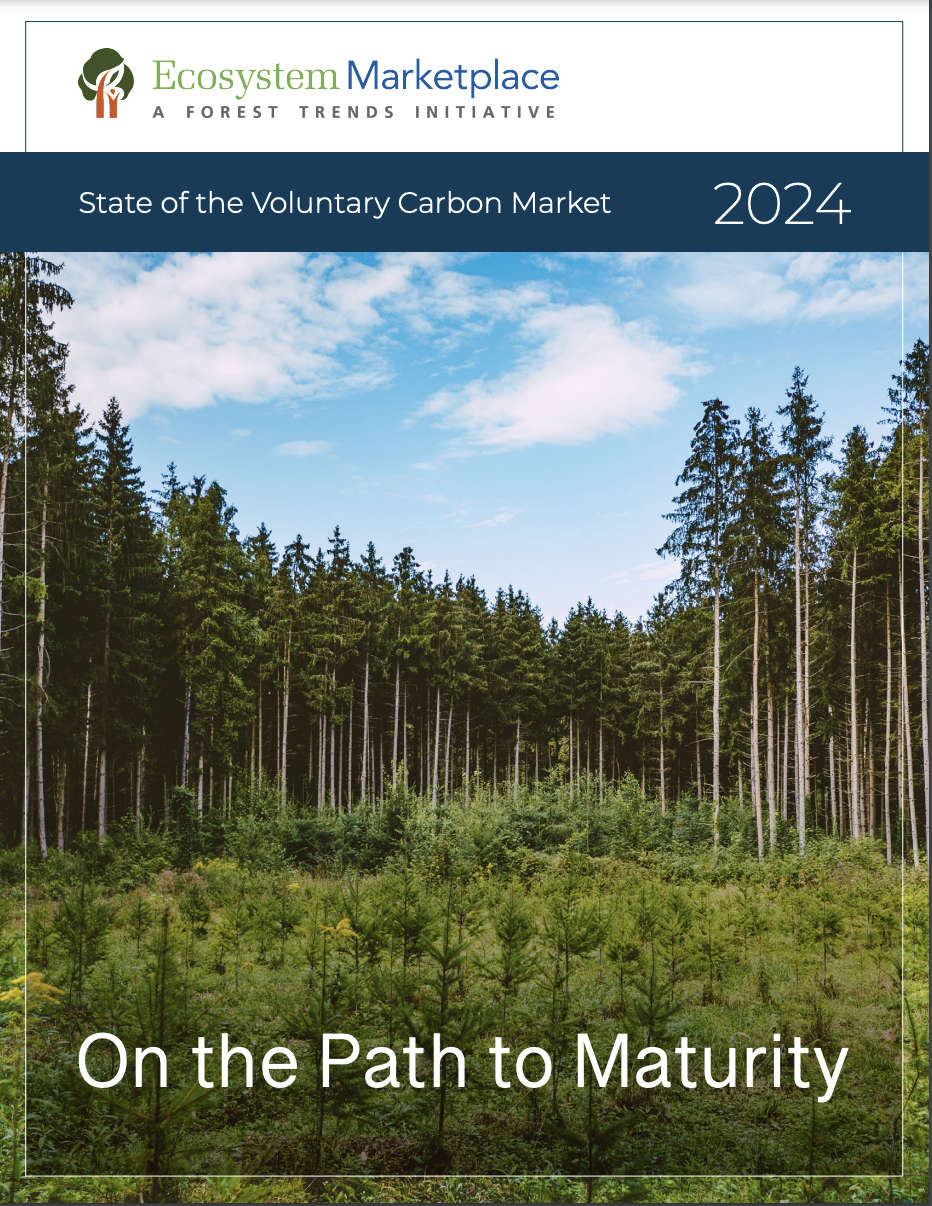 State of the Voluntary Carbon Market 2024 cover