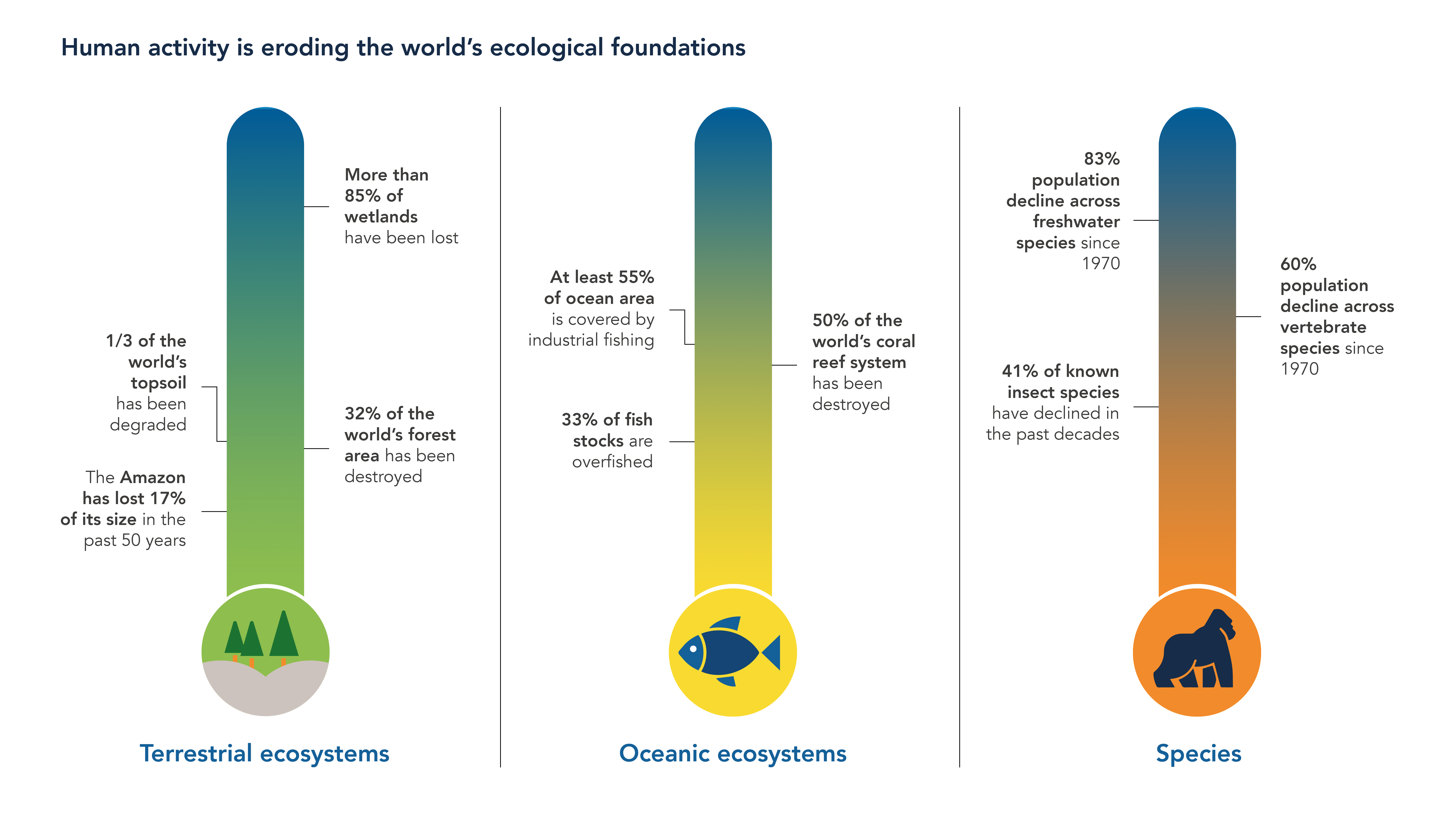 World's ecological foundations