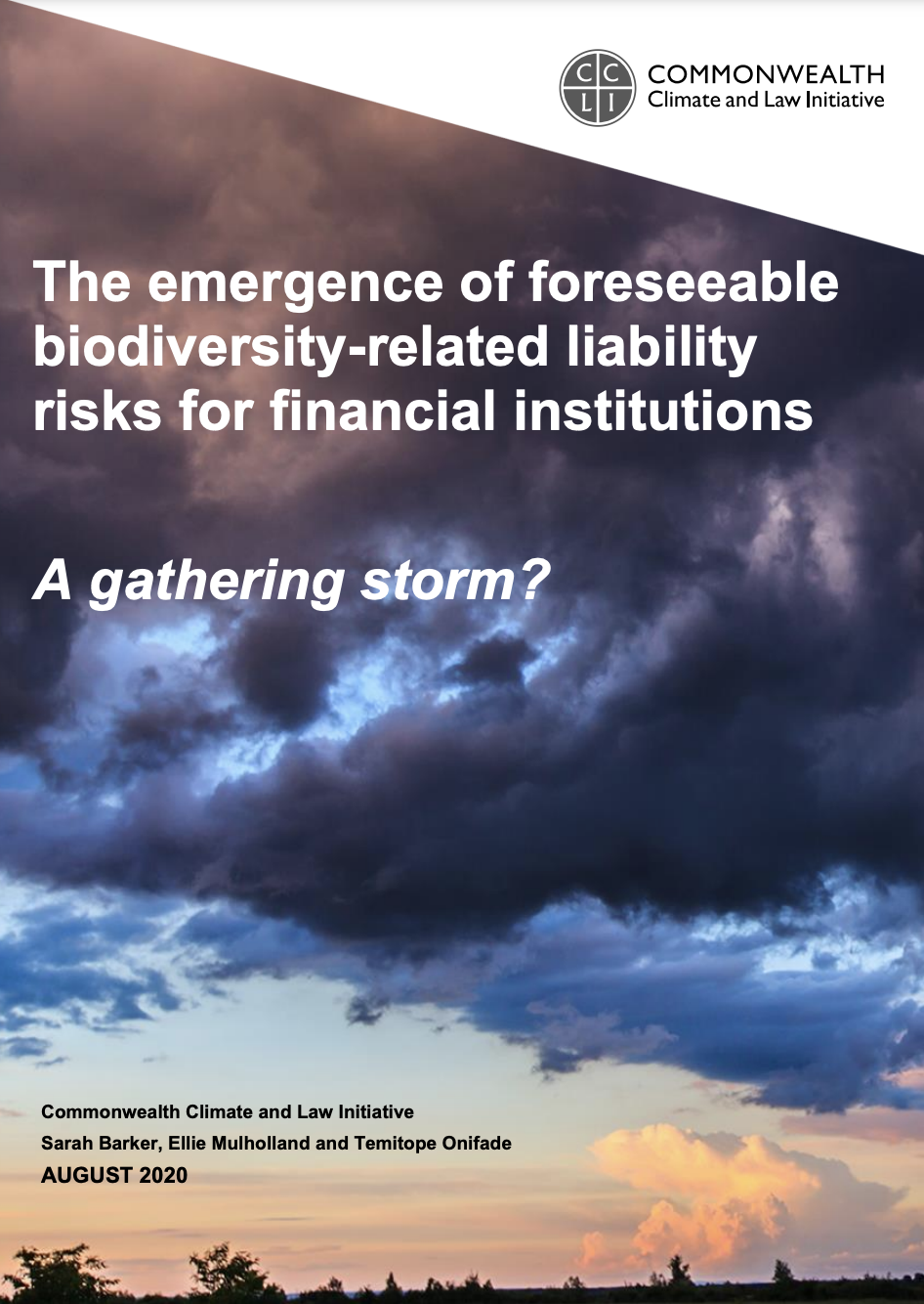 The emergence of foreseeable biodiversity-related liability risks for financial institutions: A gathering storm? cover