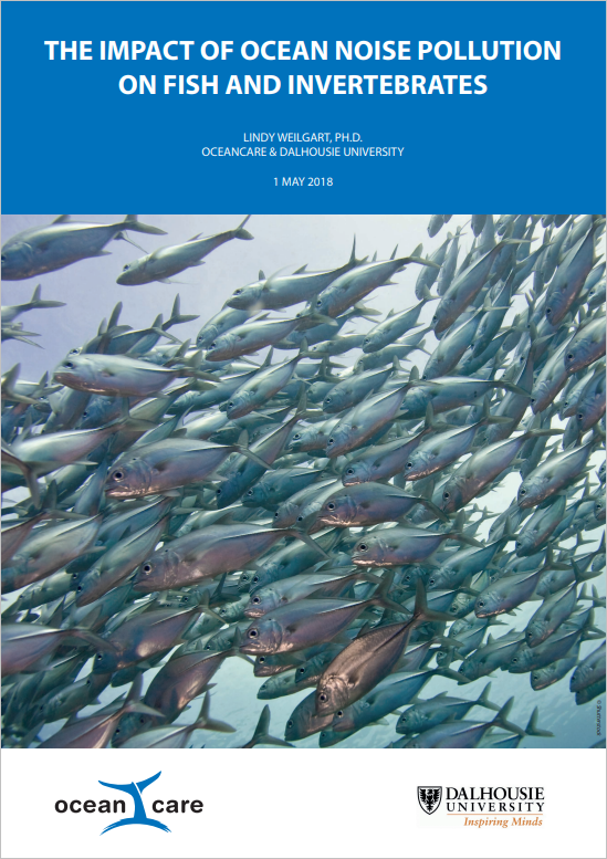 The Impact of Ocean Noise Pollution on Fish and Invertebrates cover