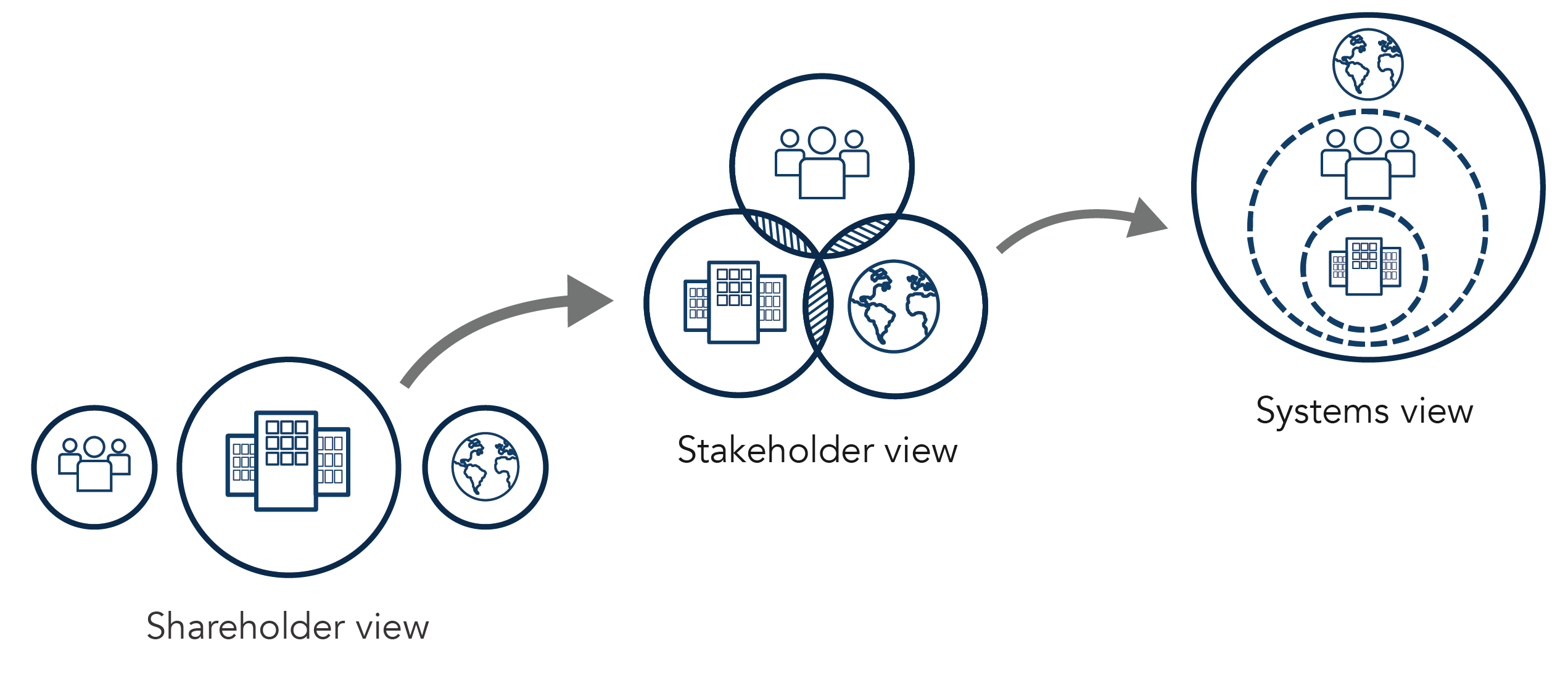 Shareholder-Stakeholder-Systems View