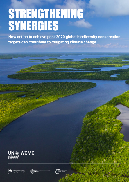 Strengthening Synergies: How action to achieve post-2020 global biodiversity conservation targets can contribute to mitigating climate change cover