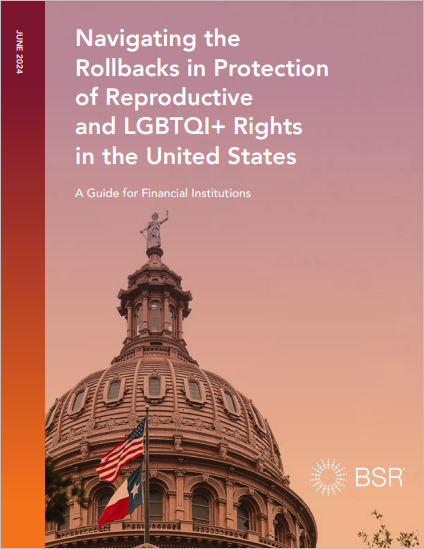 Navigating the Rollbacks in Protection of Reproductive and LGBTQI+ Rights in the United States cover