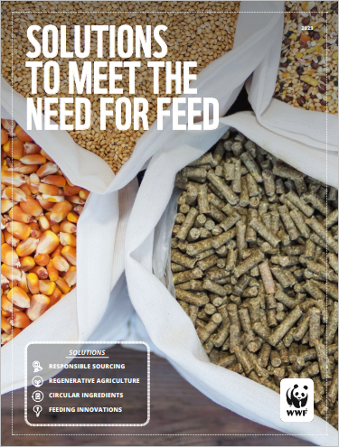 Solutions to Meet the Need for Feed cover