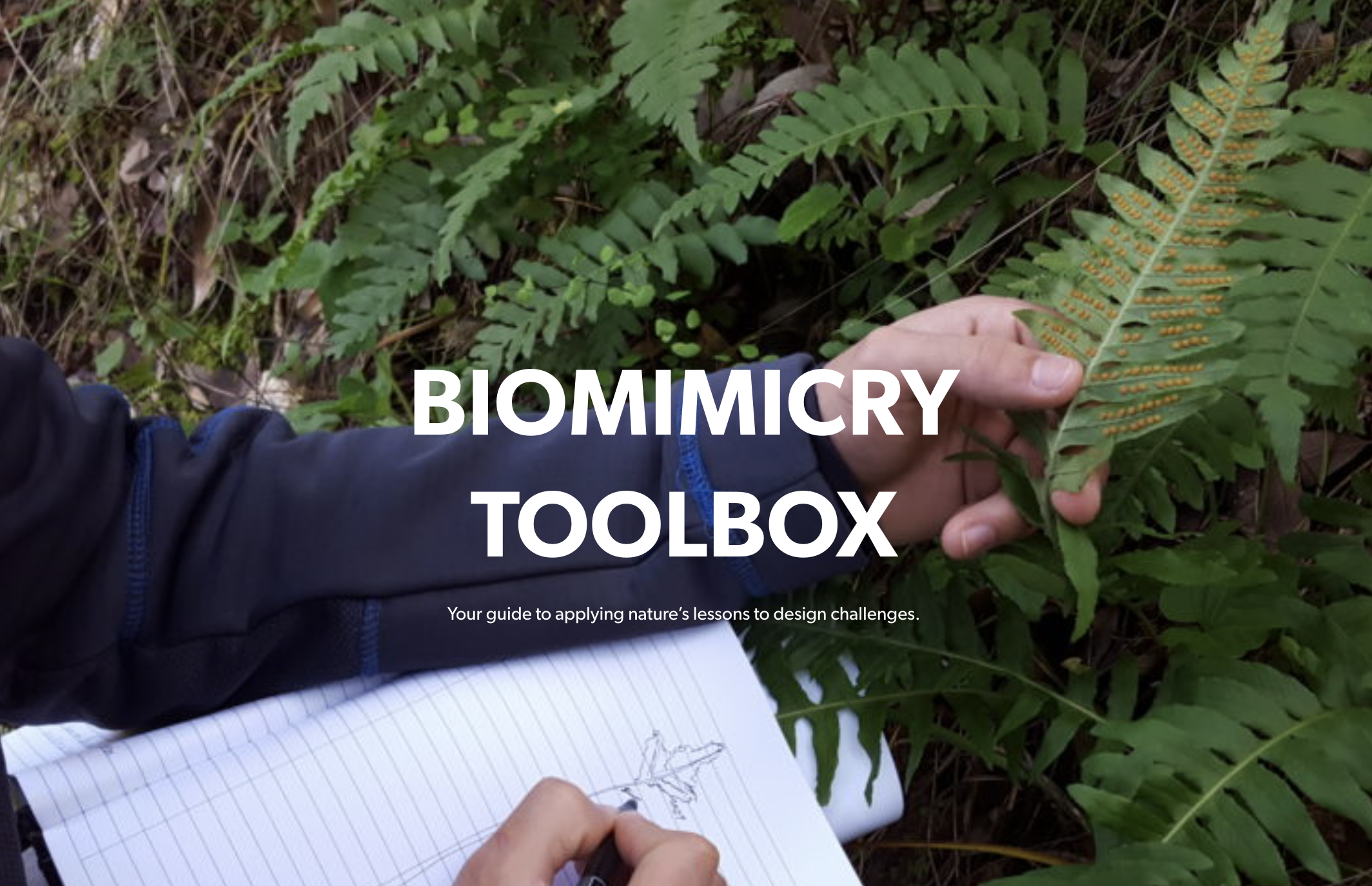 Biomimicry Toolbox cover