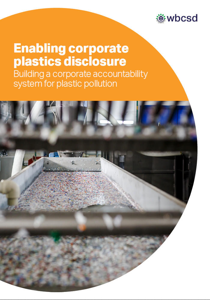 Enabling corporate plastics disclosure: Building a corporate accountability system for plastic pollution cover