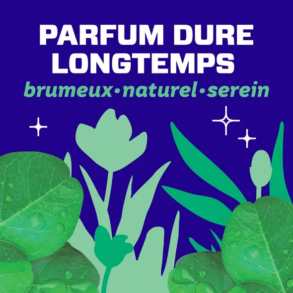 Parfum dure longtemps: brumeux - naturel - serein