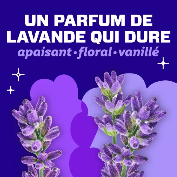 Un Parfum de lavande qui dure: apaisant - floral - vanille