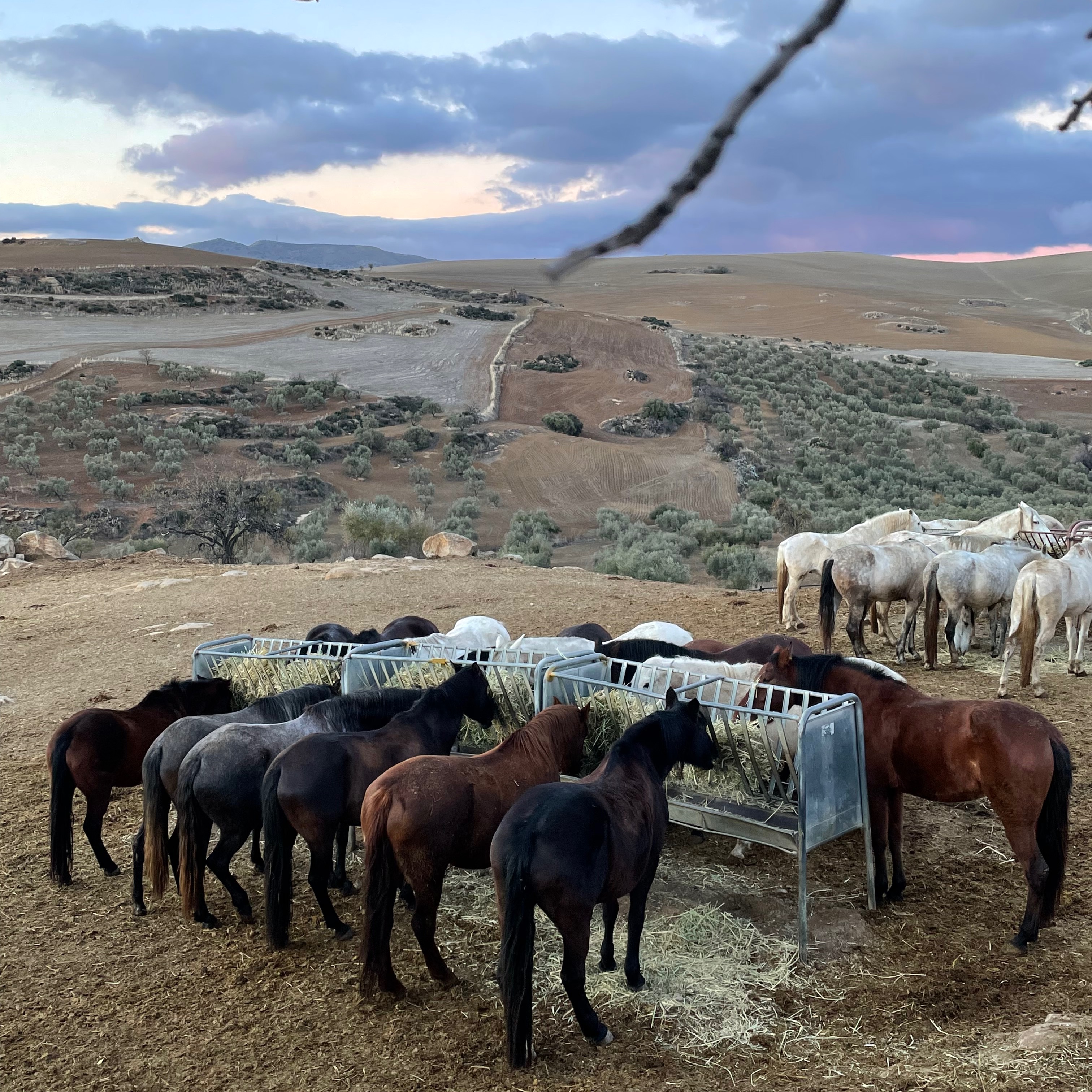 Rancho Los Angeles Eigene 02