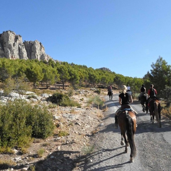 Rancho Los Angeles 4