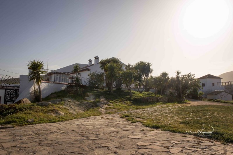 Rancho Los Angeles 2