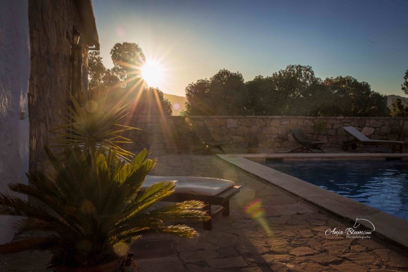 Rancho Los Angeles 3