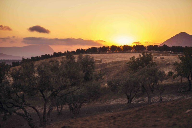 Rancho Los Angeles 1