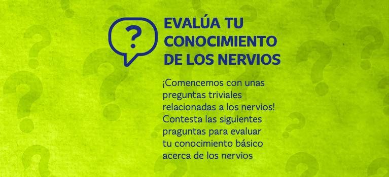 Pon a prueba tu conocimiento sobre los nervios
