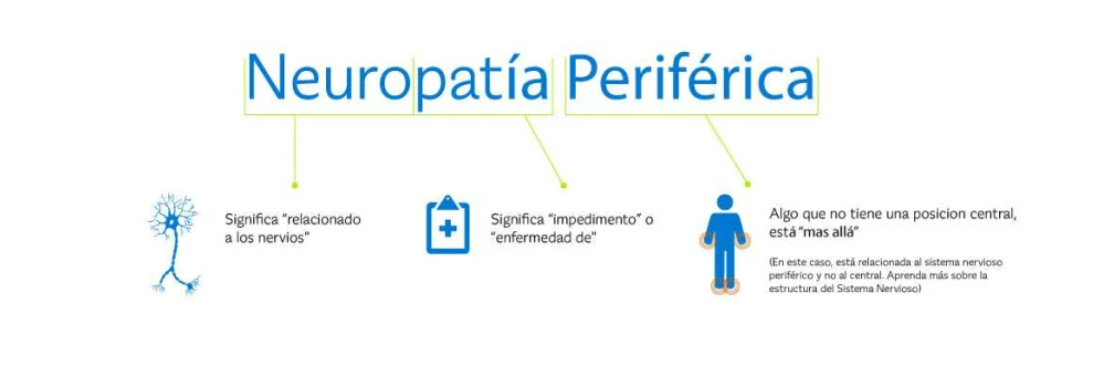 Significado de las palabras neuropatia periferica