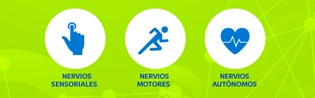 íconos de beneficios de Neurobión