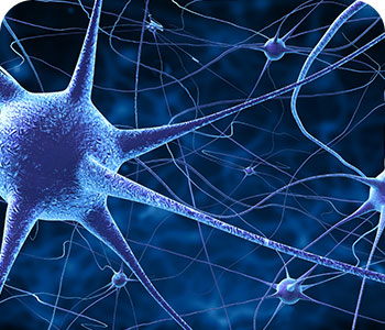 nerves_cell_teaser_desk.png
