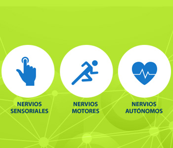 neurobion_lean_hub_350x300.jpg