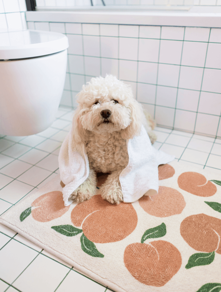 Ruggable x Morris & Co. Washable Rugs Ruggable