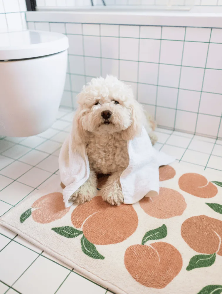 Can You Put A Rug On Underfloor Heating Ruggable