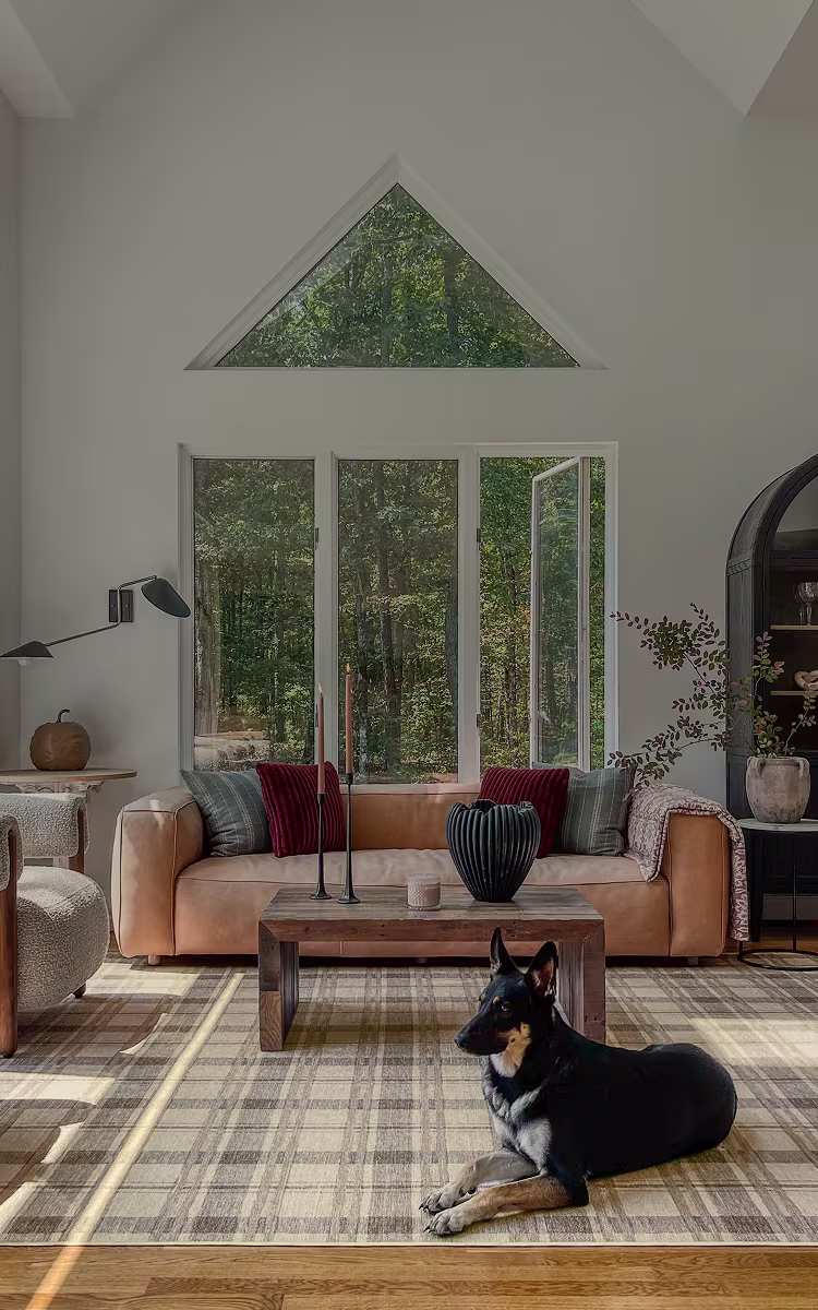 Dog Rugs Hero LP Mobile