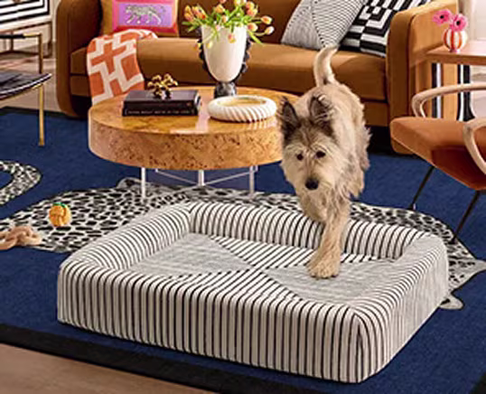 Washable Inkdrop Ivory Woven Bolster Pet Bed | Ruggable