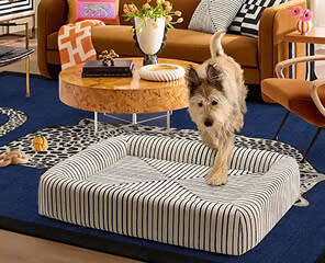 Washable Inkdrop Ivory Woven Bolster Pet Bed | Ruggable