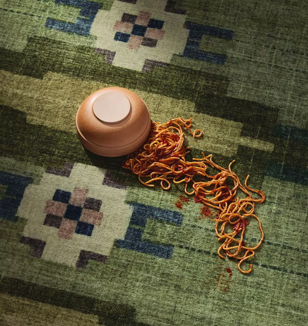 stain resistant rug