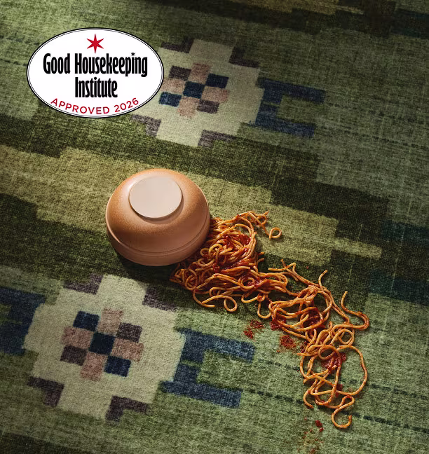 stain resistant rug