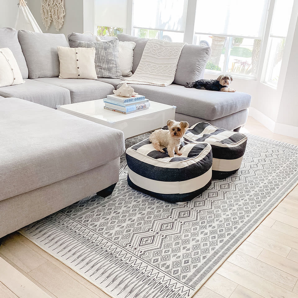 Ruggable 7 Tips on How to Get Dog Smell Out of Your Rugs
