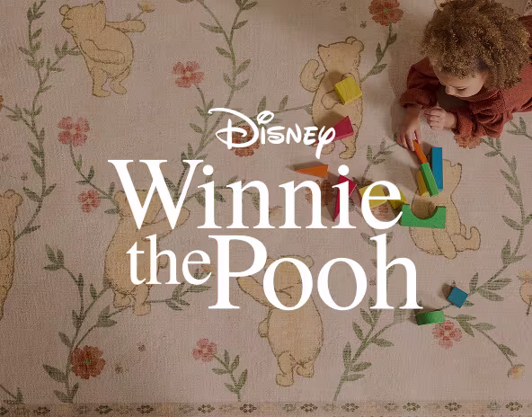 Disney's Winnie The Pooh