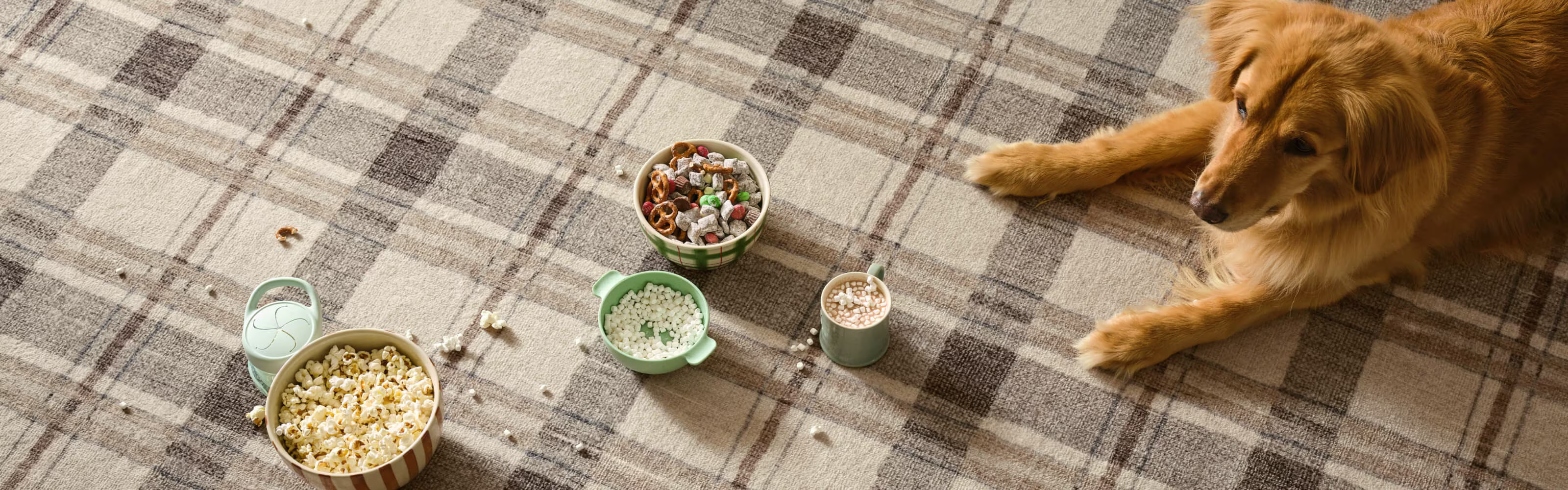 Ruggable BFCM LP Hero - Desktop