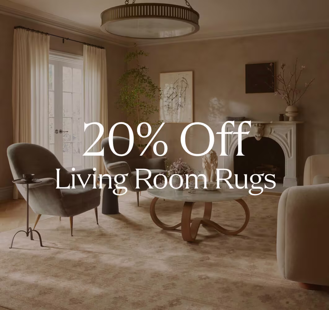 Ruggable x goop Lucia Natural Rug in organic modern living room