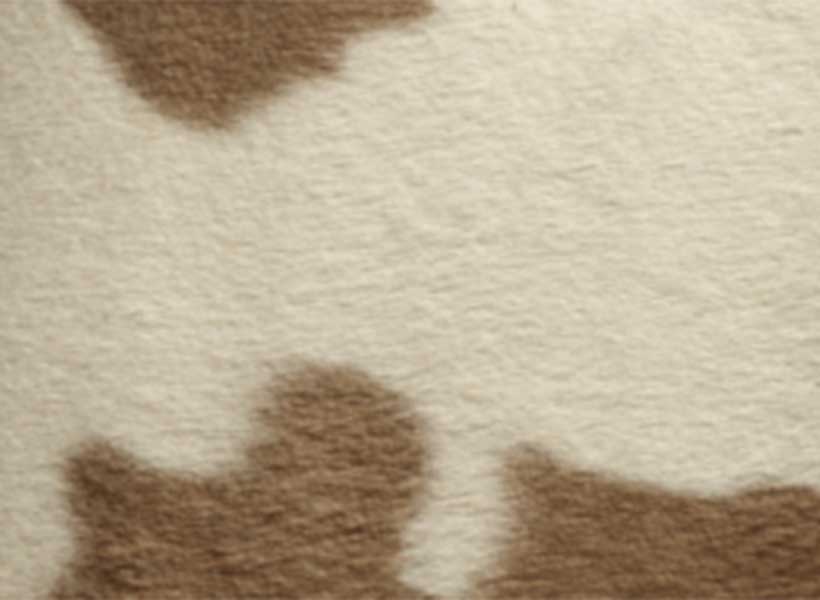 How to Wash a Rug DIY Rug Cleaning at Home Ruggable