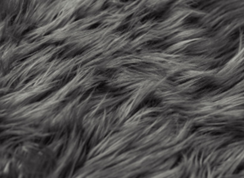 How to Wash a Rug DIY Rug Cleaning at Home Ruggable