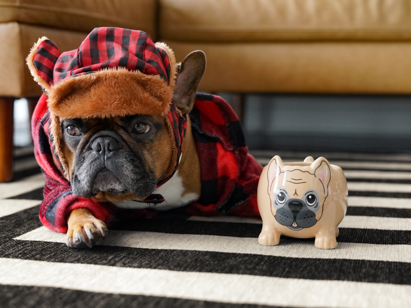 Refer a Friend Get 15 Off Washable Rugs Ruggable