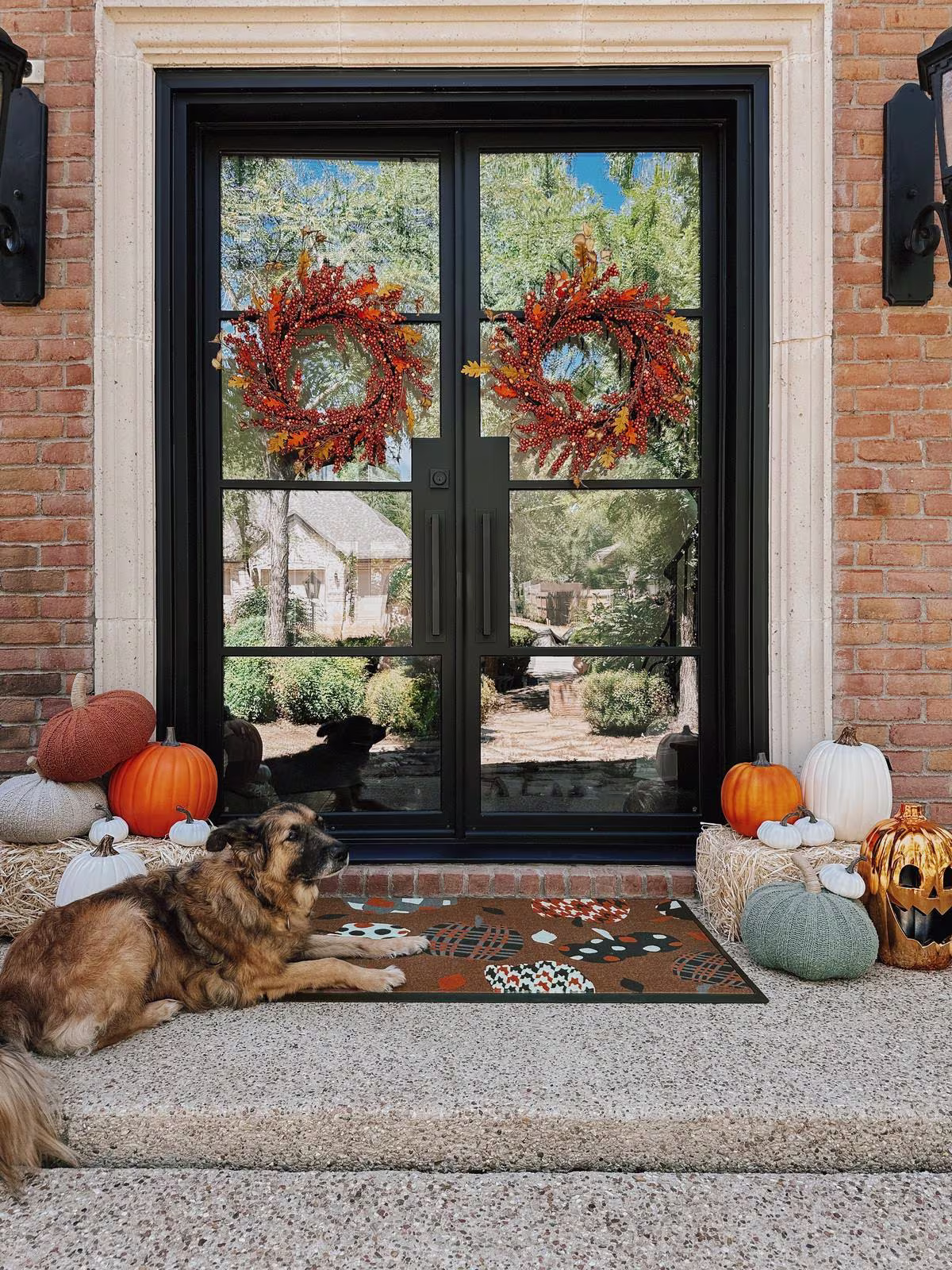Image of a fall wreath decorated doorstep with a dog laying down, pumpkins, and the Ruggable Pumpkin Coir Estate Doormat.