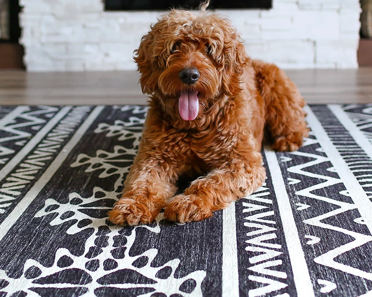 Doormats and Rugs for Dogs