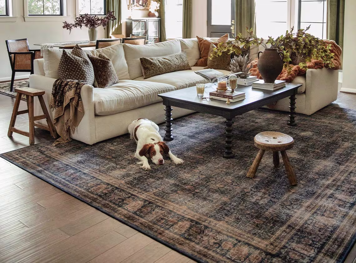 Vesper Golden Sapphire Rug in the living room with a dog in the middle, Ruggable 